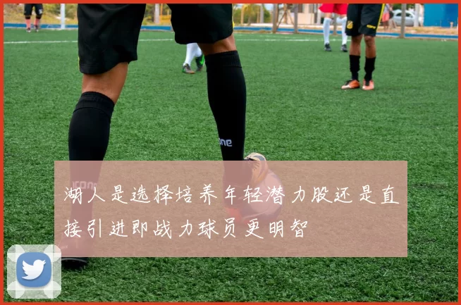 湖人是选择培养年轻潜力股还是直接引进即战力球员更明智